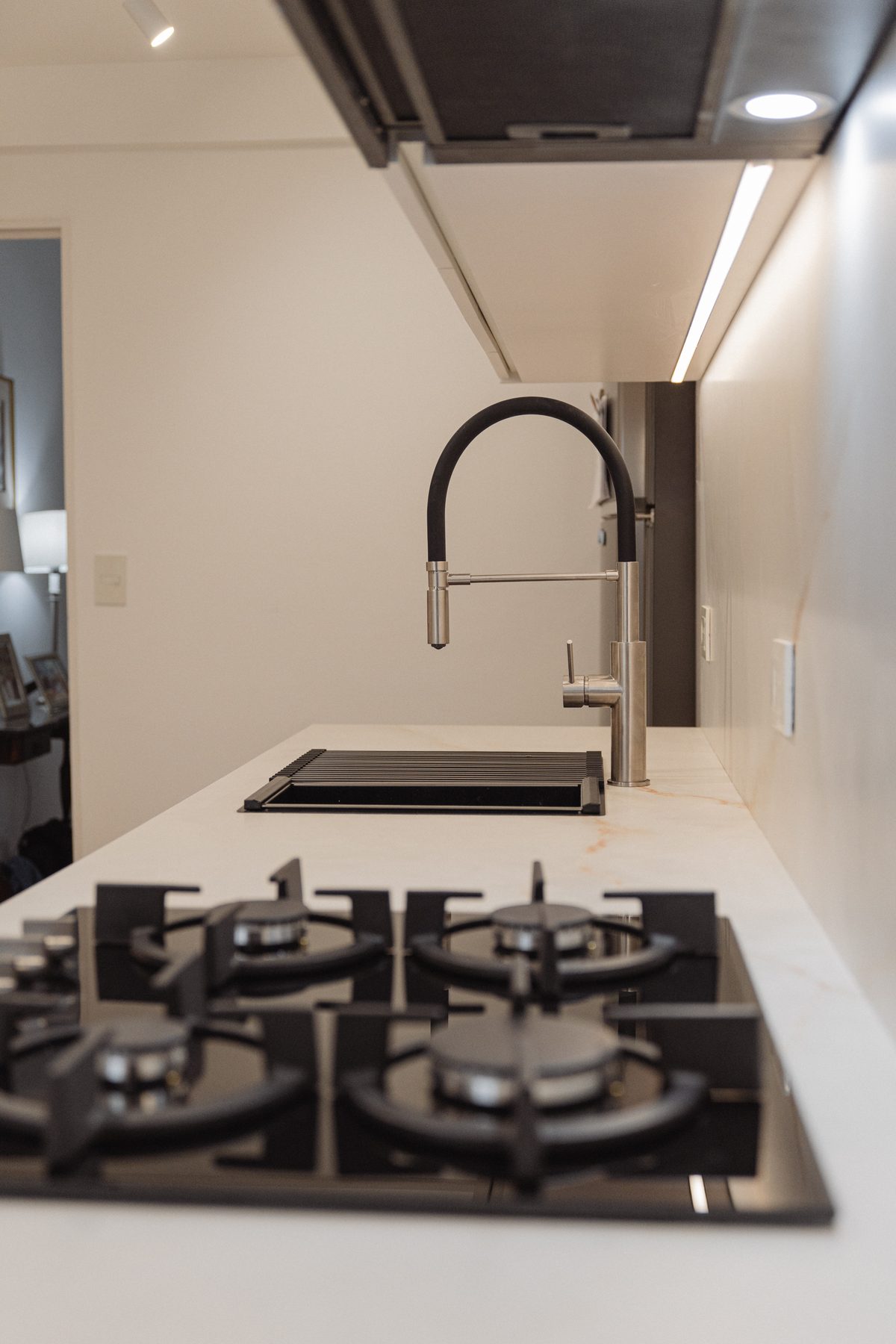 Cocina del Proyecto Belgrano, detalle de grifería y anafe